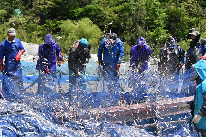 Day trip to beautiful Korean marine national park, Hallyeohaesang - Why Hallyeohaesang makes a good escape from Busan