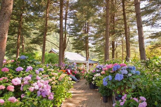 Day Trip to Nami Island with Rail bike and The Garden of Morning Calm - Guides, group size and how the day feels