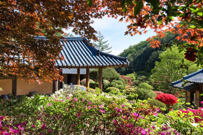 Day Trip to Nami Island with The Garden of Morning Calm - Leaving Seoul and handling the long road