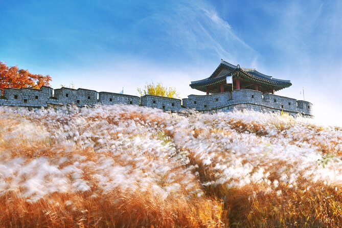 Day Trip to UNESCO: Suwon Fortress Adventure from Seoul - Why Suwon is worth a morning from Seoul