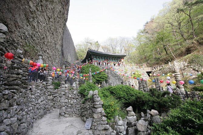 Discover Western Korea in 4days: All-Inclusive Experience - Day 3: Tea fields and Suncheon’s coastal wetlands