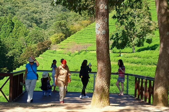 Discover Western Korea in 4days: All-Inclusive Experience - Guide support, group size, and physical effort