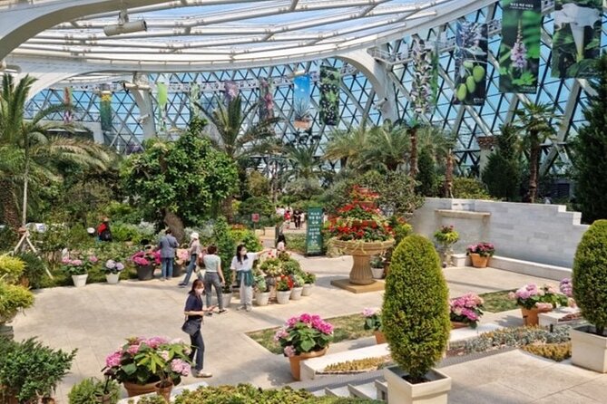 DIY Seoul Private Tour: Select 4 places you want to go - Itaewon, Garosu-gil, and Seoul’s shopping districts
