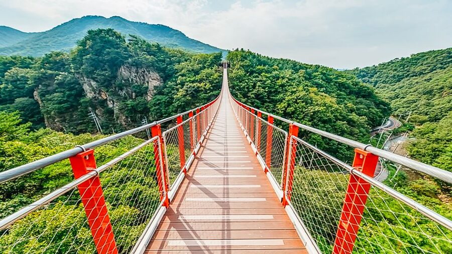 DMZ Insider Tour: 3rd Tunnel, NK Defector Meet & Red Bridge - Meeting a North Korean defector