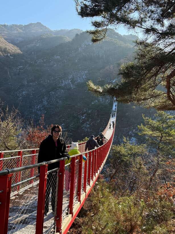 DMZ; NK Defector, 3rd Tunnel, Suspension Bridge,Hotel pickup - Dora Observatory and the view into North Korea