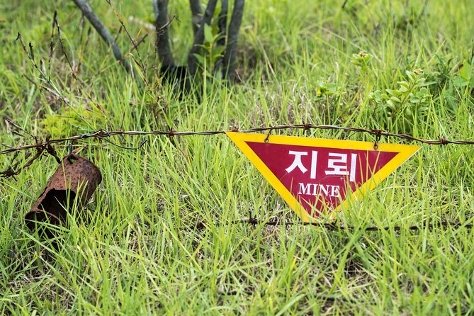 DMZ One Day Tour in Gyeonggi-do with English or Spanish - Who will get the most from this experience