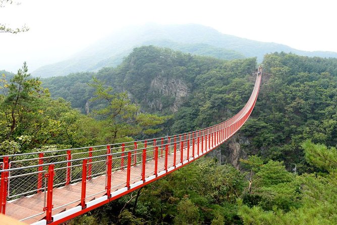 DMZ Tour: 3rd Tunnel, Option(Suspension Bridge, Boat) from Seoul - Tongilchon and life near the border