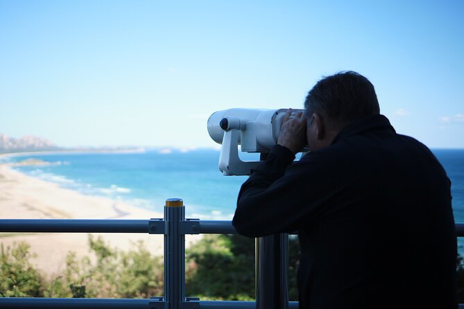 DMZ Tour for Sokcho Cruise Travelers in South Korea - Chan’s role and the vehicle