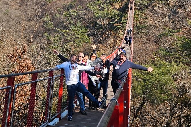 DMZ Tour from Seoul – Optional Suspension Bridge Experience - Dora Observatory and the view toward North Korea