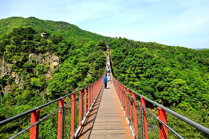 DMZ Tour from Seoul – Optional Suspension Bridge Experience - Central Seoul pickup and the early start