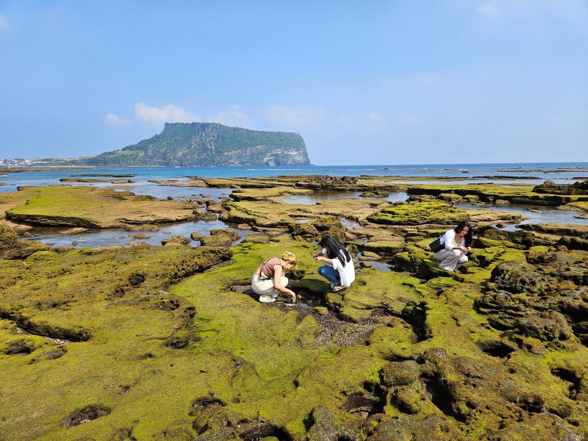 East Jeju: Day Tour with Seongsan Peak & Haenyeo Performance - Seasonal scenery and the coast near Seongsan