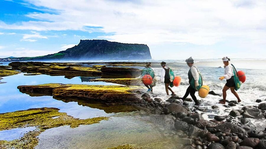East Jeju: Day Tour with Seongsan Peak & Haenyeo Performance - Meeting the Haenyeo of Jeju