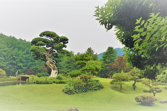 Easy private tour to Nami Island, Garden of Morning Calm - The Garden of Morning Calm in one focused hour
