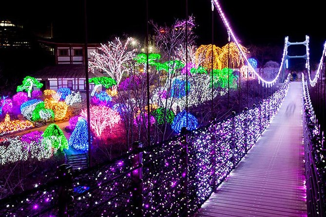 Easy private tour to Nami Island, Garden of Morning Calm - Who will enjoy this day most