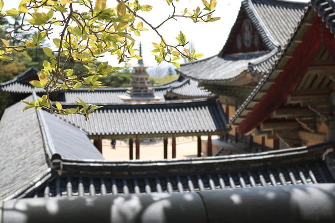 Echoes of Silla Gyeongju Historical Guided Day Tour from Busan - Guides and group size: what shapes the day