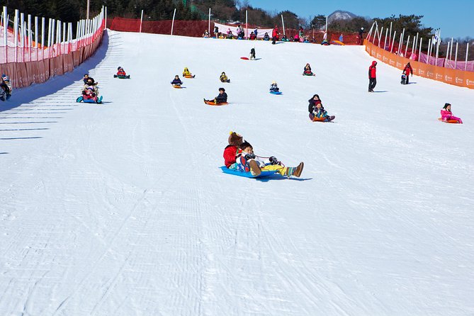 Elysian Gangchon Winter Ski + Eobi Ice Valley Day Tour fr Seoul - Choosing between skiing, snowboarding, sledding, and sightseeing