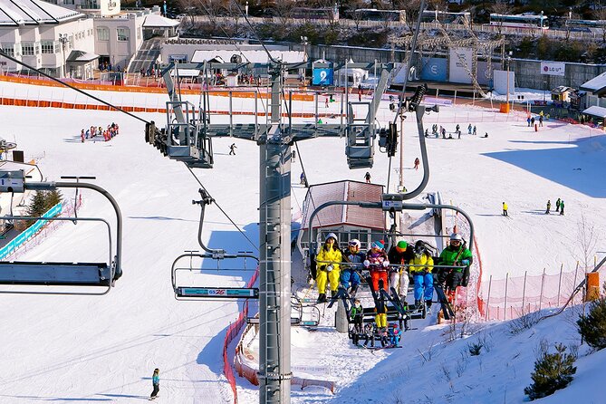 Elysian Gangchon Winter Ski with Nami Island Day Tour from Seoul - Who will enjoy this day most?