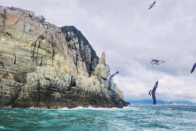 Enchanting Oedo Island Day Tour from Busan with Windy Hill - Oedo Island’s terraced garden