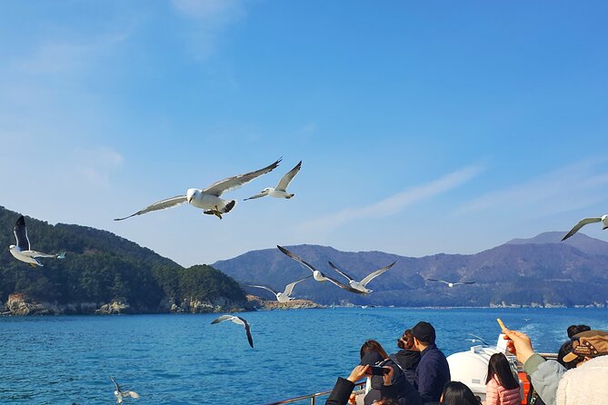 Enchanting Oedo Island Day Tour from Busan with Windy Hill - Windy Hill and the Geoje coast