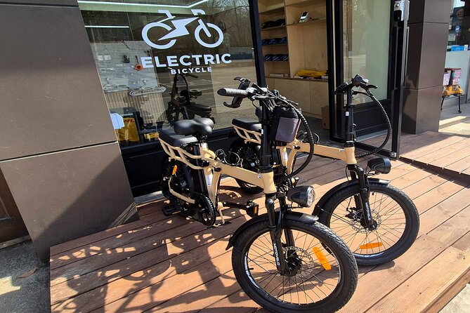 ENKO Electric Bike Ride on The Han River Bike Path in Seoul - The value of the $15.57 price