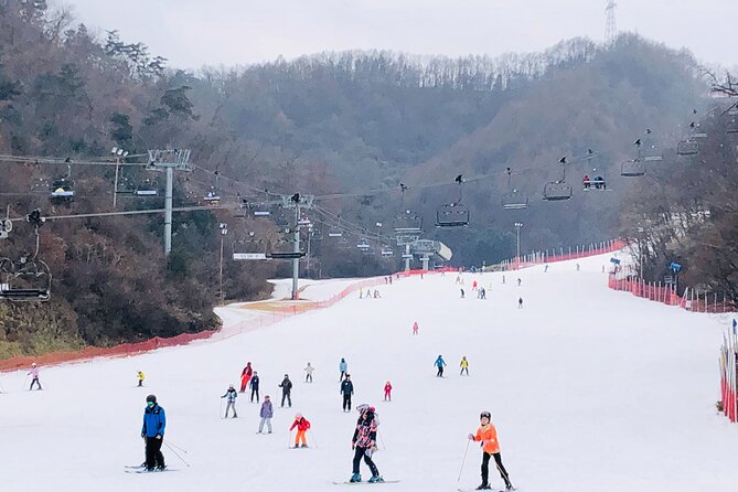 Eobi Ice Valley / Elysian Ski Resort / Nami Island - Three winter sights in one very long day