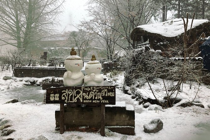 Eobi Ice Valley / Elysian Ski Resort / Nami Island - What the $48 price really covers