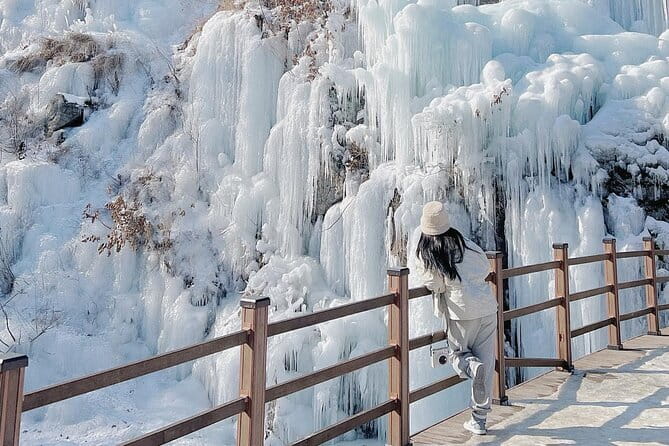 Eobi Ice Valley, Nami Island, Morning Calm and Rail Bike Seoul - Three hours on Nami Island