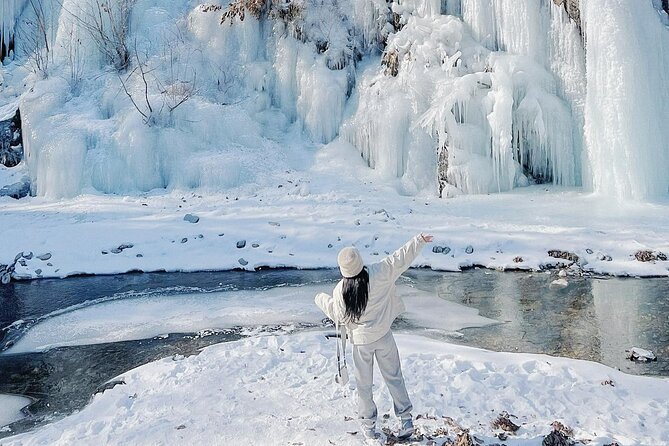 Eobi Ice Wall & Nami Island & Morning Calm Light Festival - Key points to know before booking
