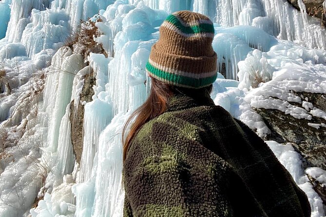 Eobi Ice Wall & Nami Island & Morning Calm Light Festival - Nami Island gives the day its breathing room