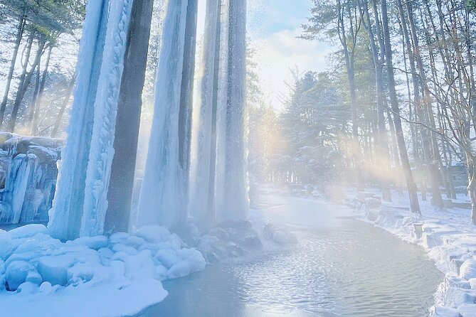 Eobi Ice Wall & Nami Island & Morning Calm Light Festival - Guides can make the difference