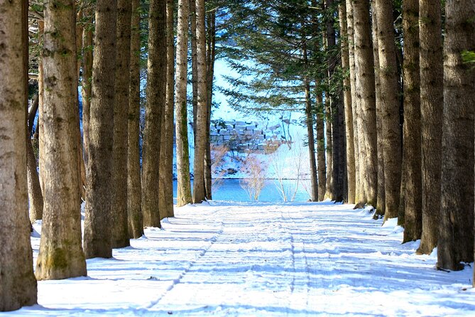 Eobi Ice Wall & Nami Island & Morning Calm Light Festival - Is $74.33 good value?