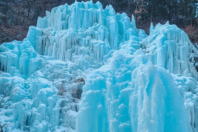 Eobi Ice Wall & Nami Island & Morning Calm Light Festival - Who will enjoy this day most?