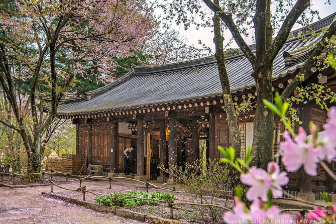 Eobi+Nami+Hanbok Tour with Rail Bike or Strawberry Option - Key points to know before booking