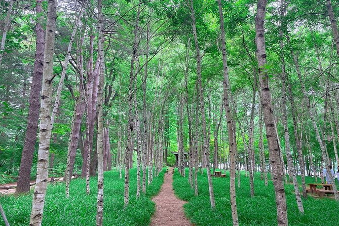 Eobi+Nami+Hanbok Tour with Rail Bike or Strawberry Option - The ride back to Hongik and Myeongdong