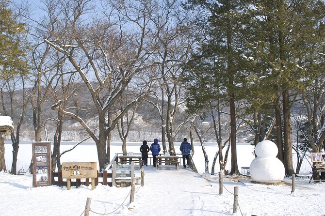 Eobi Valley(Winter), Strawberry, Nami Island & Railbike fr Seoul - Who will enjoy this more, and who may not