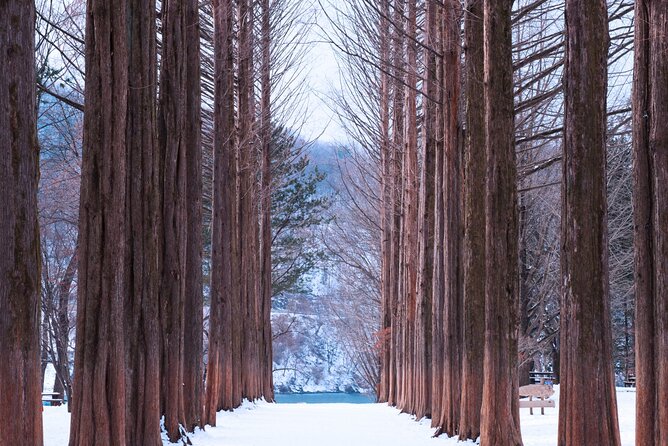 Eobi Valley(Winter), Strawberry, Nami Island & Railbike fr Seoul - Nami Island gives you the longest break