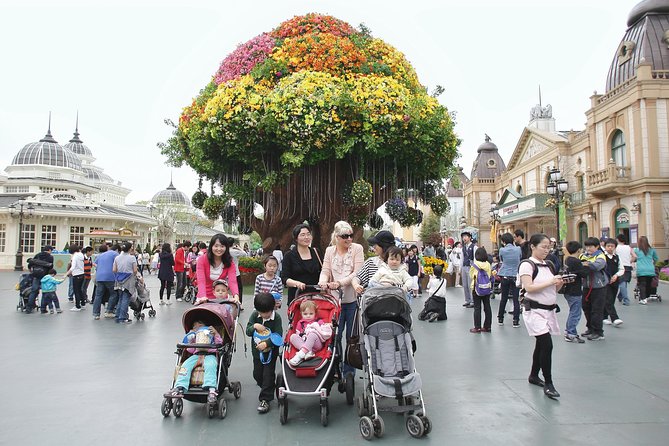 Everland Amusement Park with free-ride Ticket - What your Everland day is really like
