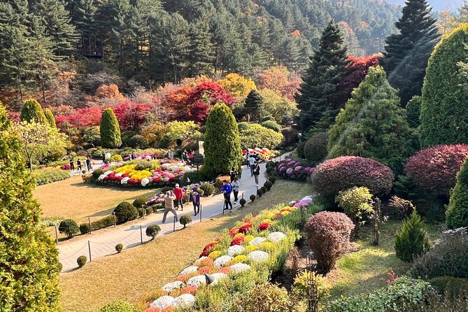 Four Seasons of Nami Island with Garden of Morning Calm Tour - Garden of Morning Calm, Korea’s planned garden experience