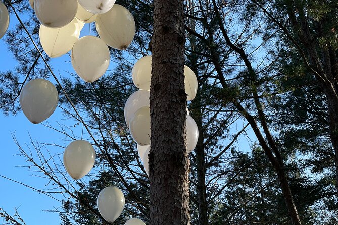 Four Seasons of Nami Island with Garden of Morning Calm Tour - Guides, vehicles, and the shape of the day