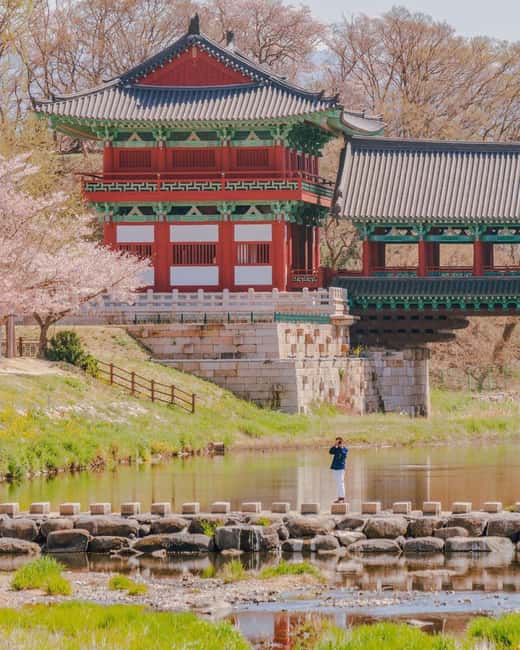 From Busan: Busan & Gyeongju One Day Tour - The return drive and Cheongsapo’s coastal finish