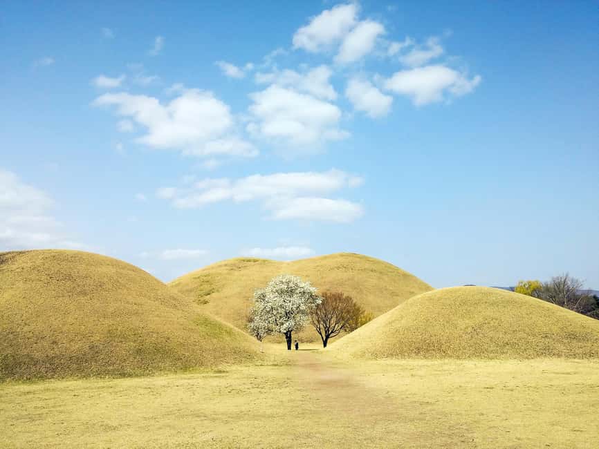 From Busan: Busan & Gyeongju One Day Tour - The pace, vehicle, and walking demands