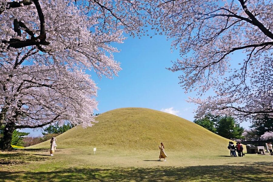 From Busan: Echoes of Silla Gyeongju Historical Day Tour - Daereungwon turns the city into a royal cemetery