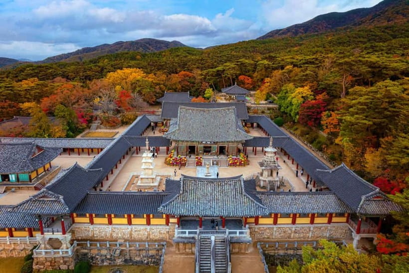 From Busan: Echoes of Silla Gyeongju Historical Day Tour - Wolji Pond is the evening centerpiece