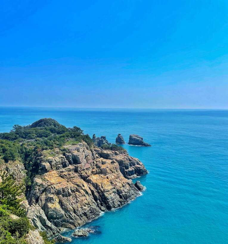 From Busan: Enchanting Oedo Island Day Tour with Windy Hill - Why Oedo Island is worth the long ride