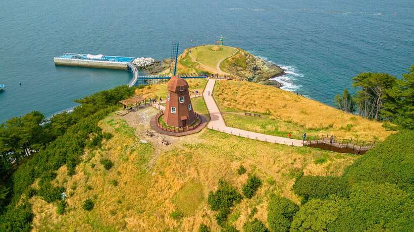 From Busan: Enchanting Oedo Island Day Tour with Windy Hill - Lunch is flexible, but plan for your own needs