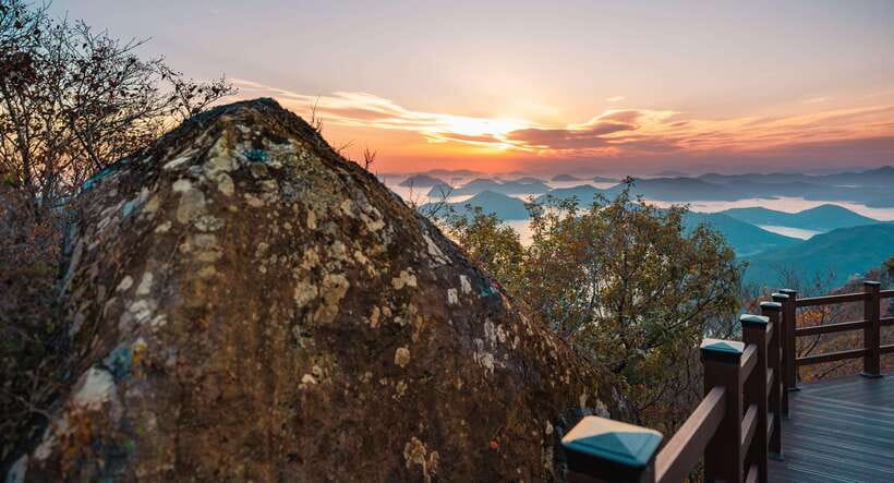 From Busan: Enchanting Oedo Island Day Tour with Windy Hill - Riding the Geoje Panorama Cable Car