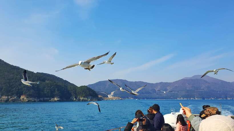 From Busan: Enchanting Oedo Island Day Tour with Windy Hill - Guides can make or break a packed day