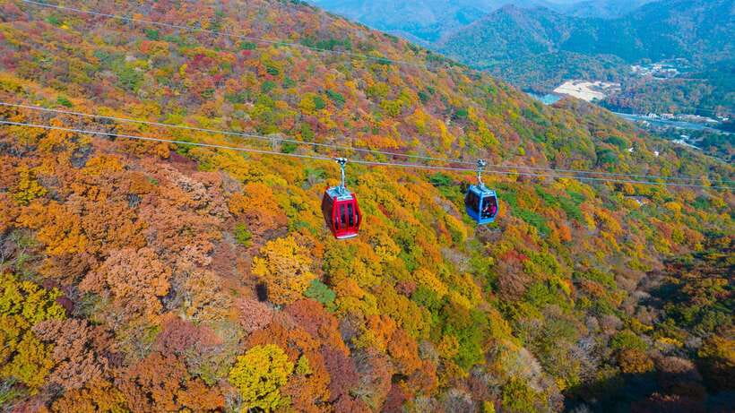 From Busan: Enchanting Oedo Island Day Tour with Windy Hill - The ferry from Dojangpo and the Haeguemgang views