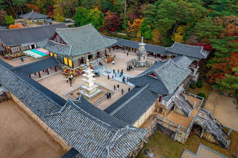 From Busan: Gyeongju Full-Day Historical Tour - Yangdong Traditional Village and Old Hanok Houses
