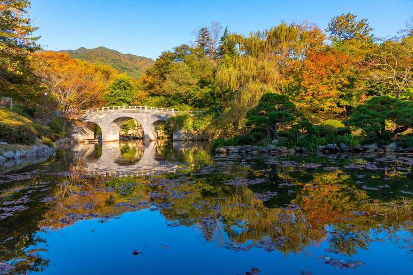 From Busan: Gyeongju Historical Day Tour with Sky Capsule - Daereungwon’s royal tombs